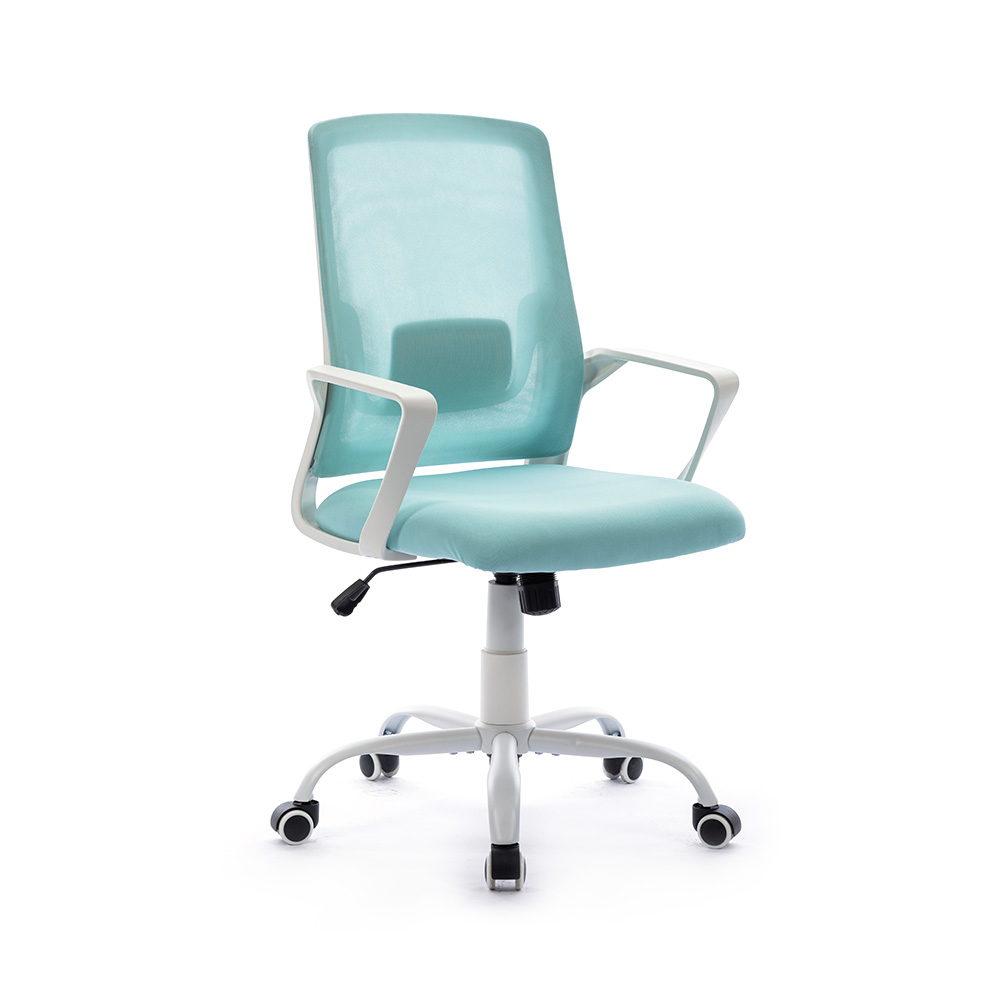 Domus Office Mesh Cathedra Executive Swivel Office Cathedra