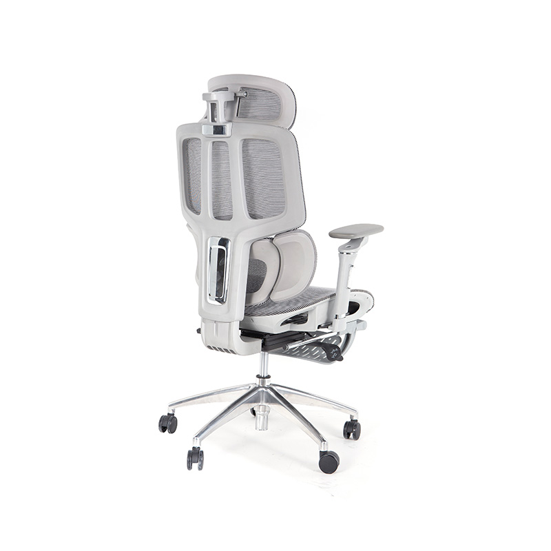 Ergonomic officium Cathedra cum 3D Armrests Dynamic Lumborum Support